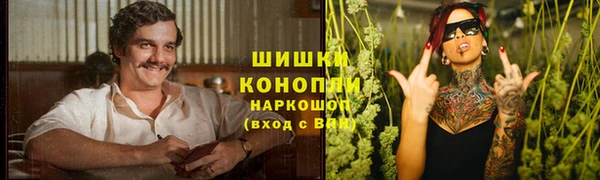 хмурый Бородино