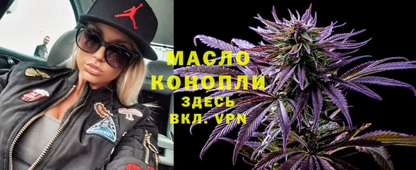хмурый Бородино