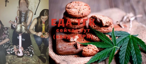 хмурый Бородино