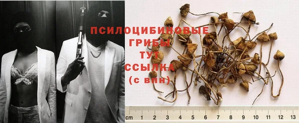 мдма Бронницы